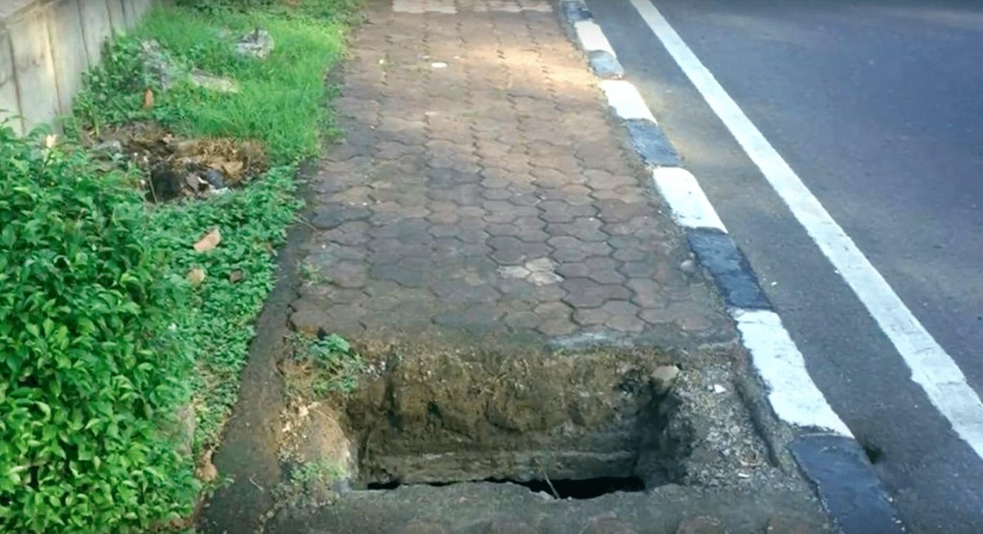 Stăpânul și-a aruncat câinele în canal și l-a lăsat să moară! După o lună s-a întâmplat ceva complet neașteptat