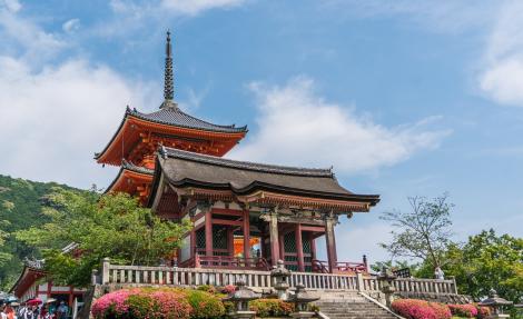 Descoperă Japonia în timpul festivalului Sakura!